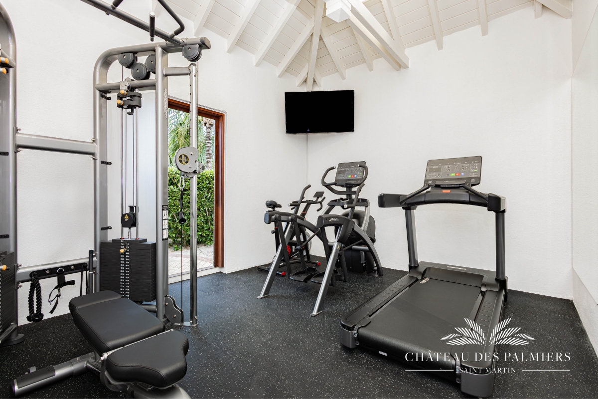 Villa Le Chateau des Palmiers